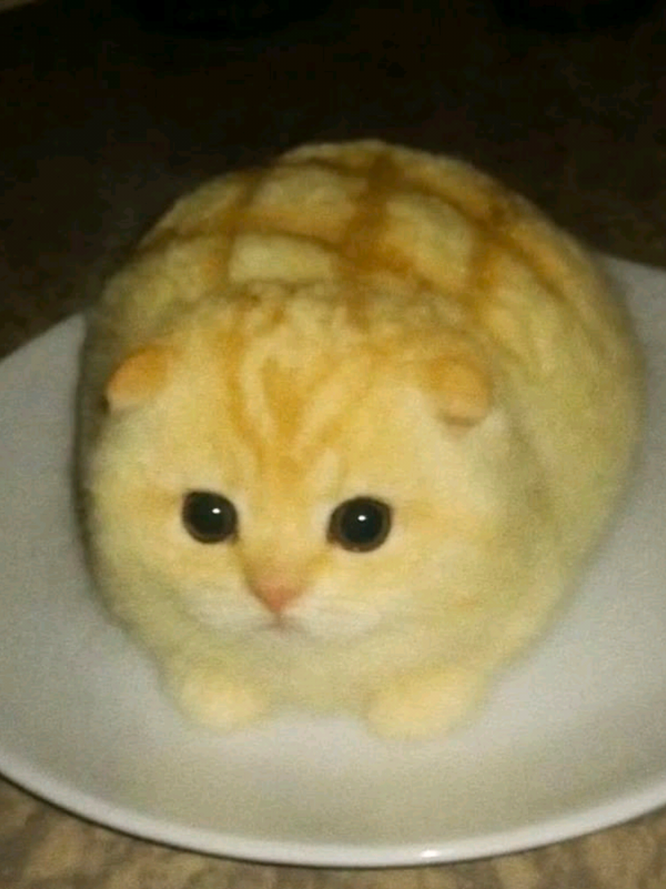 @๐ผ๐๐๐๐๐๐๐๐๐๐.เด