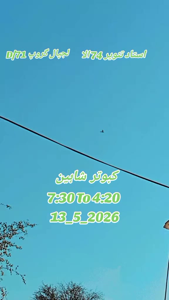 @🦁 رائے حسن سیرواآنہ کھرل 🦁