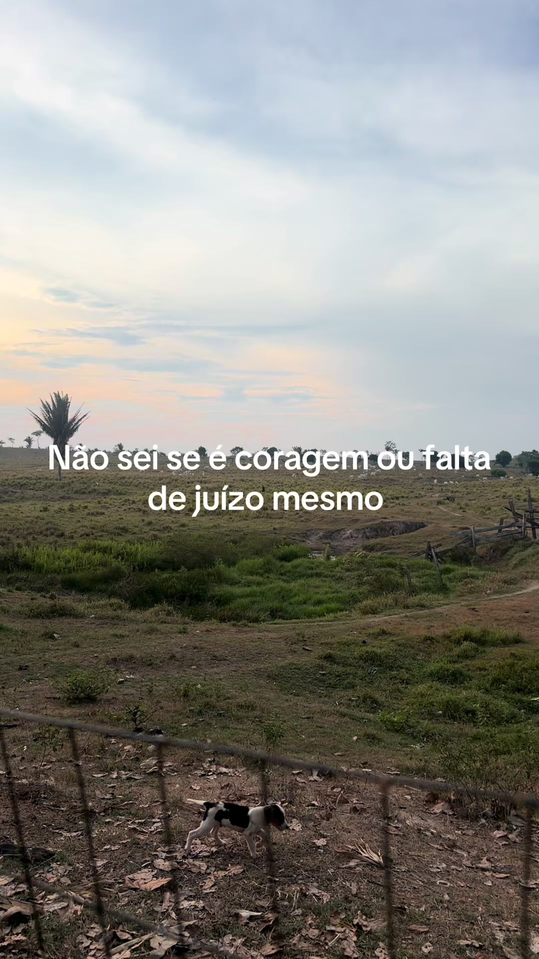 @Roseleide Vieira Lim