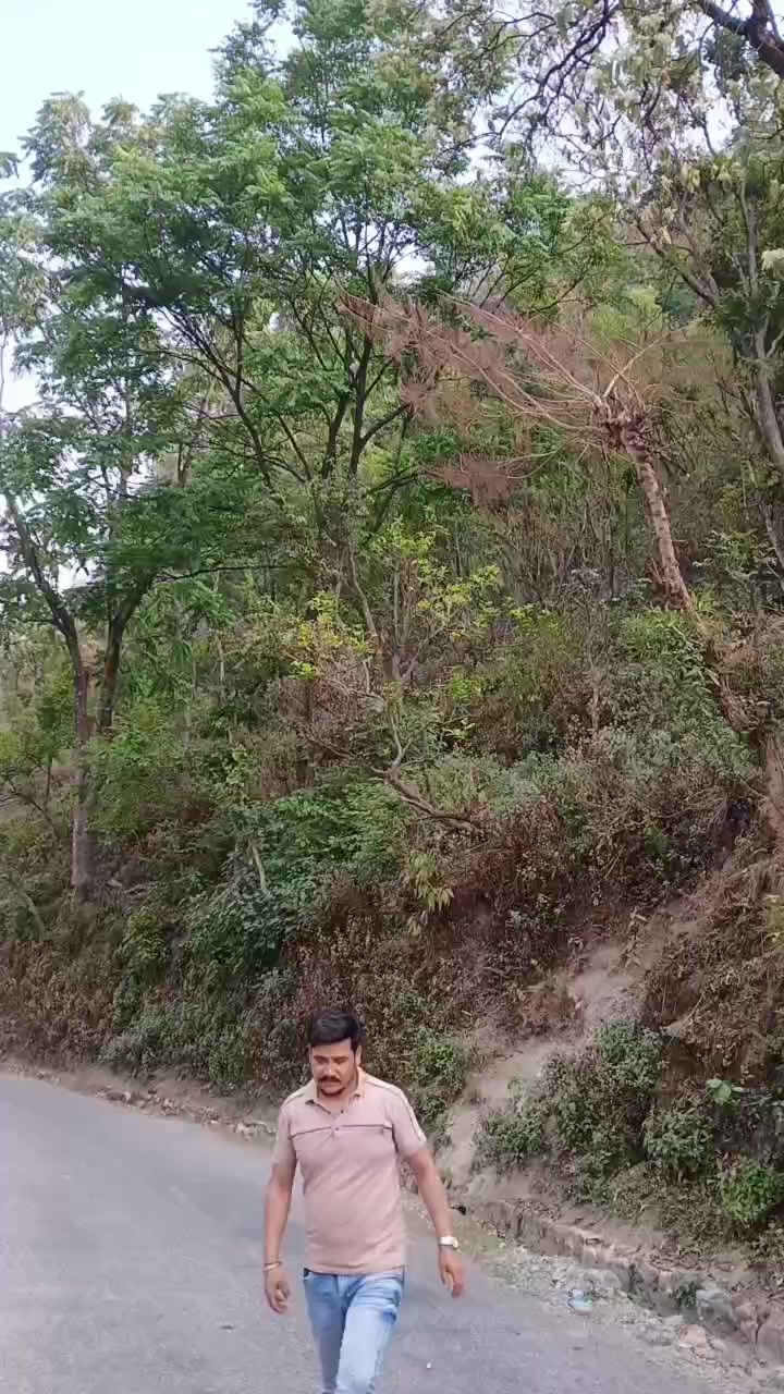 @Shankar Bist