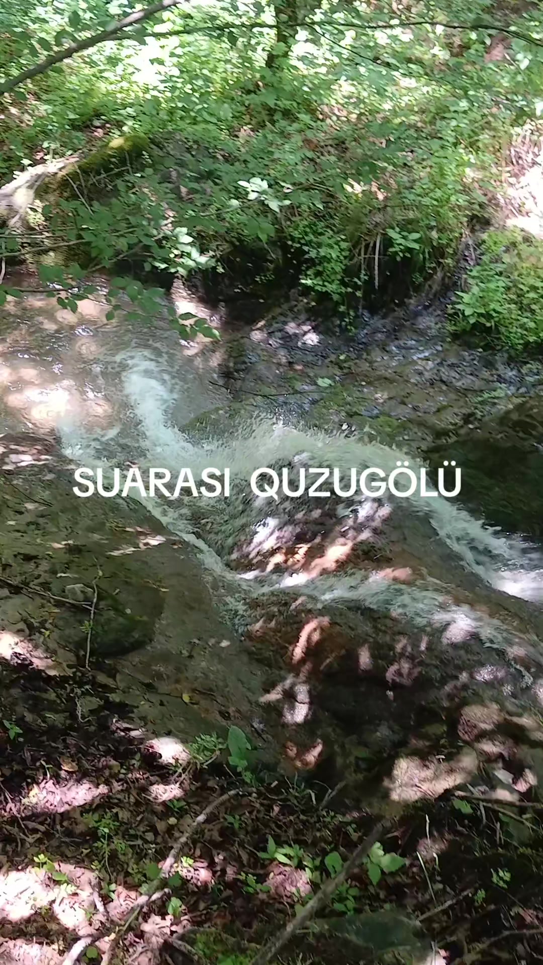 @VETERAN 041