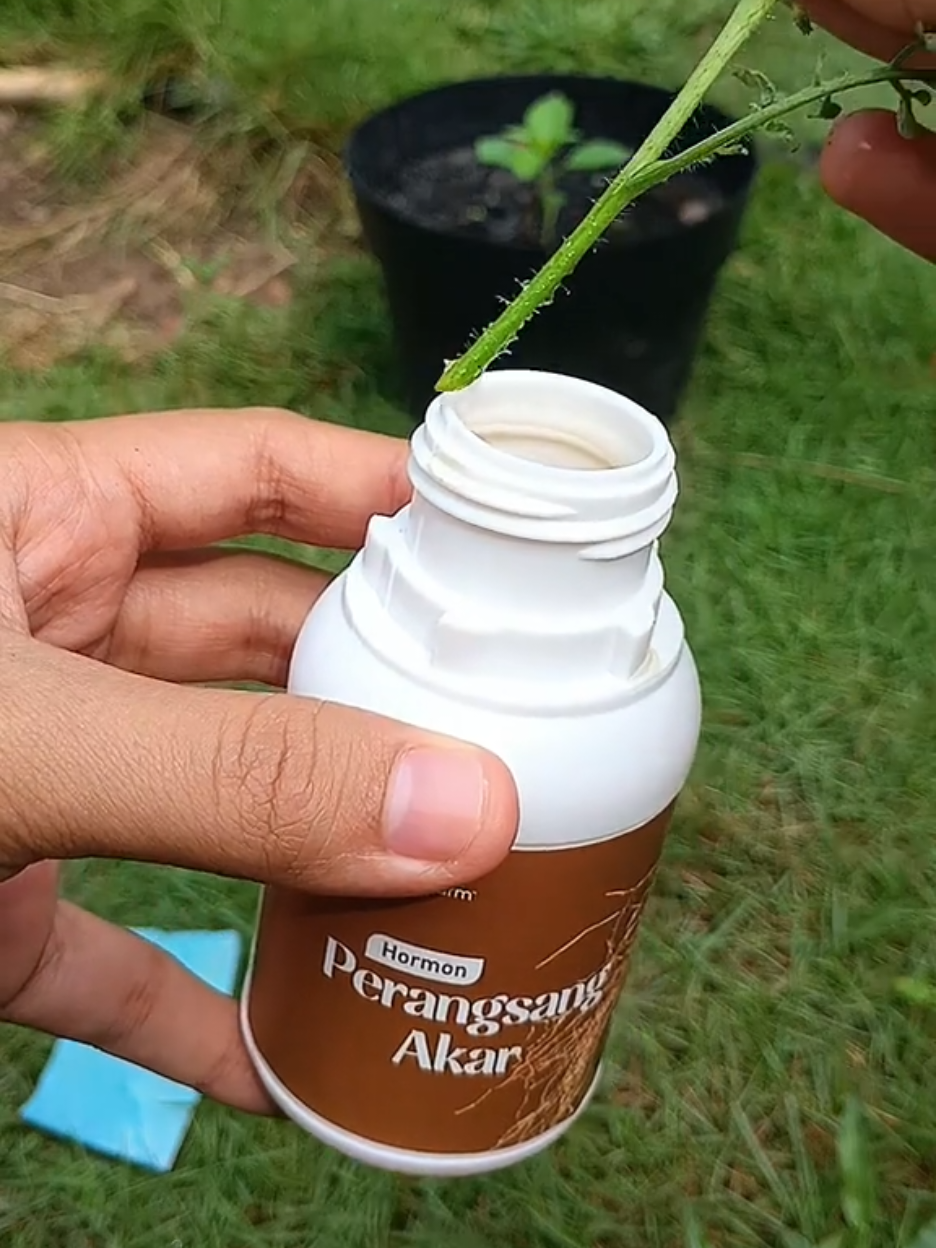 @susmawaati