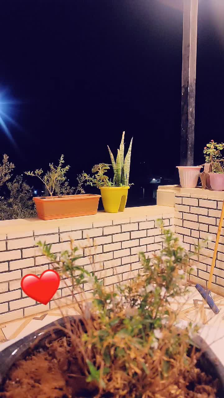 @ℋ𝒶𝓁𝒶🦢✨