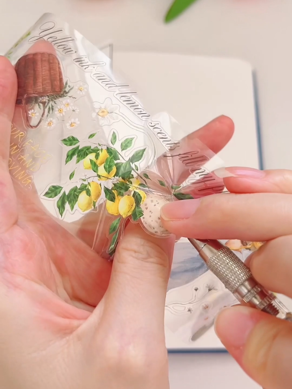 @The Washi Tape Shop