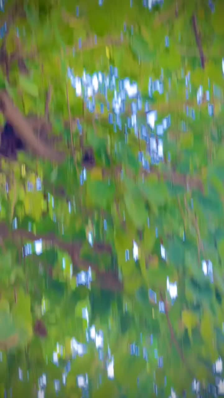 @💫🌾 ŪK🌿💫