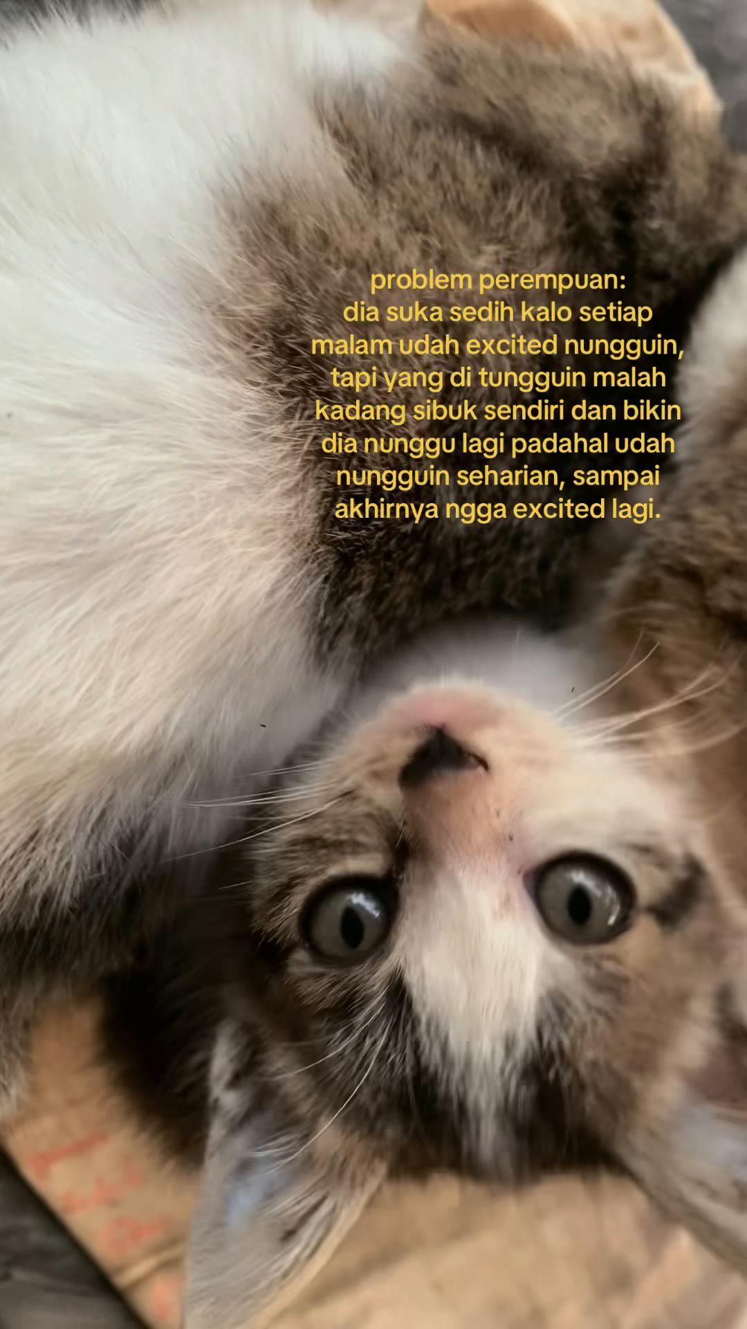 @tamaa