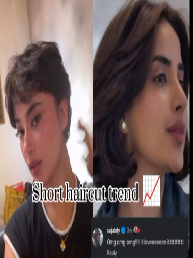 @Lollywood Updates