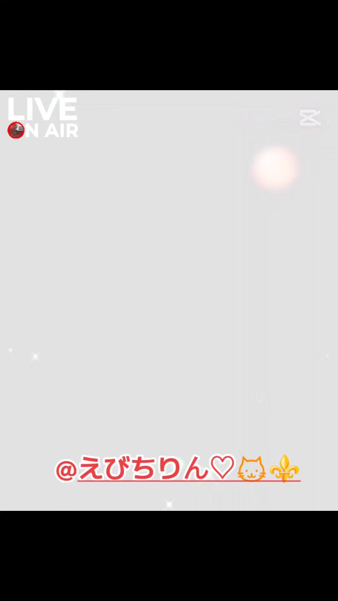 @がじゅまる隊長️🐼🐱⚜️