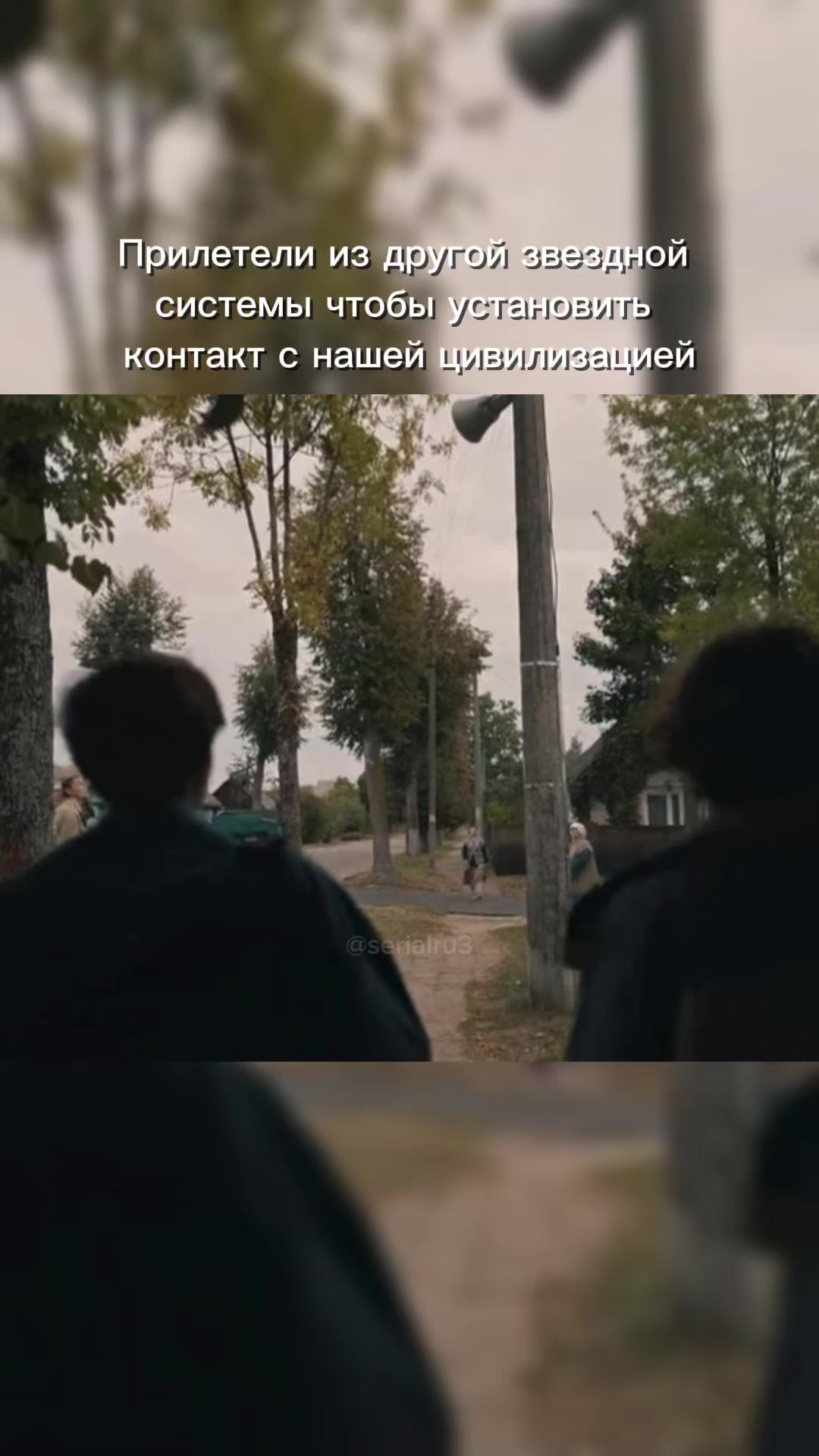 @Из жалости