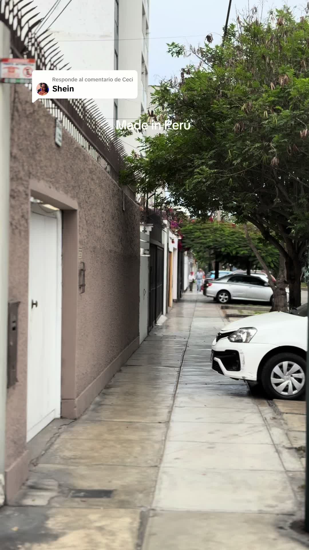 @egoose.pe
