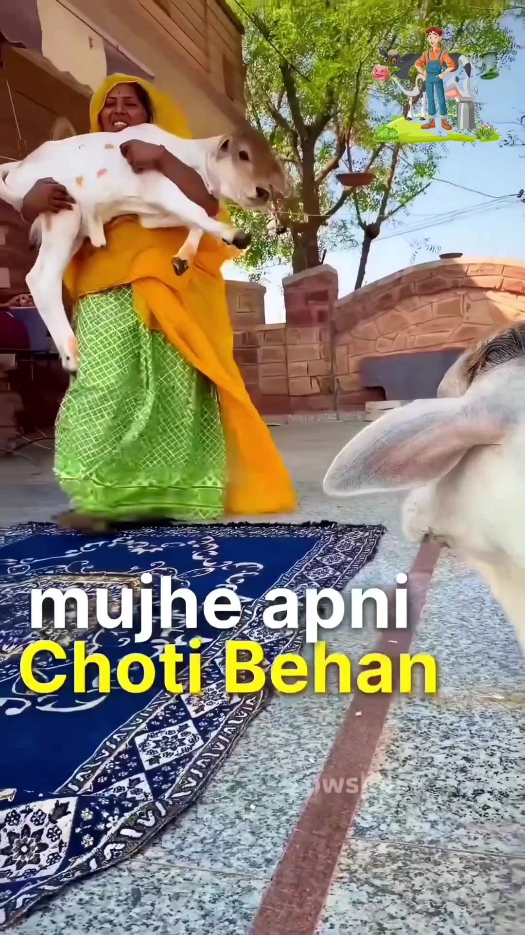 @cows_b_like