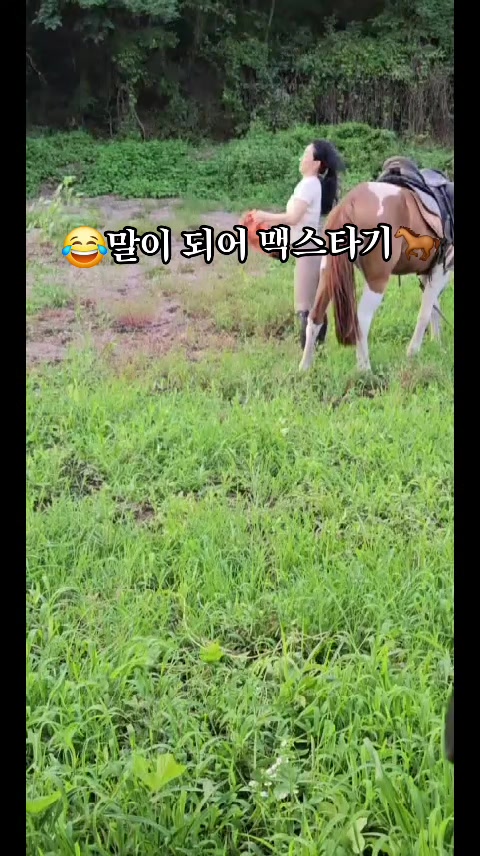@❤️8월28일 1주년🎉❤️말타는피부원장🐎김미애🐎