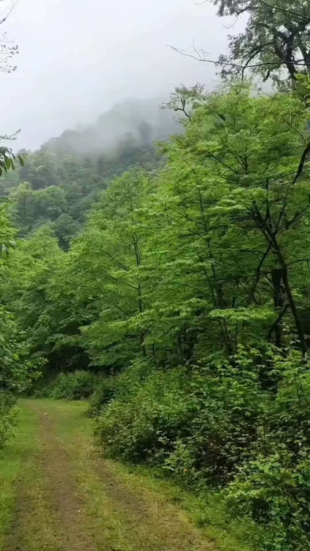 @Архитектор души
