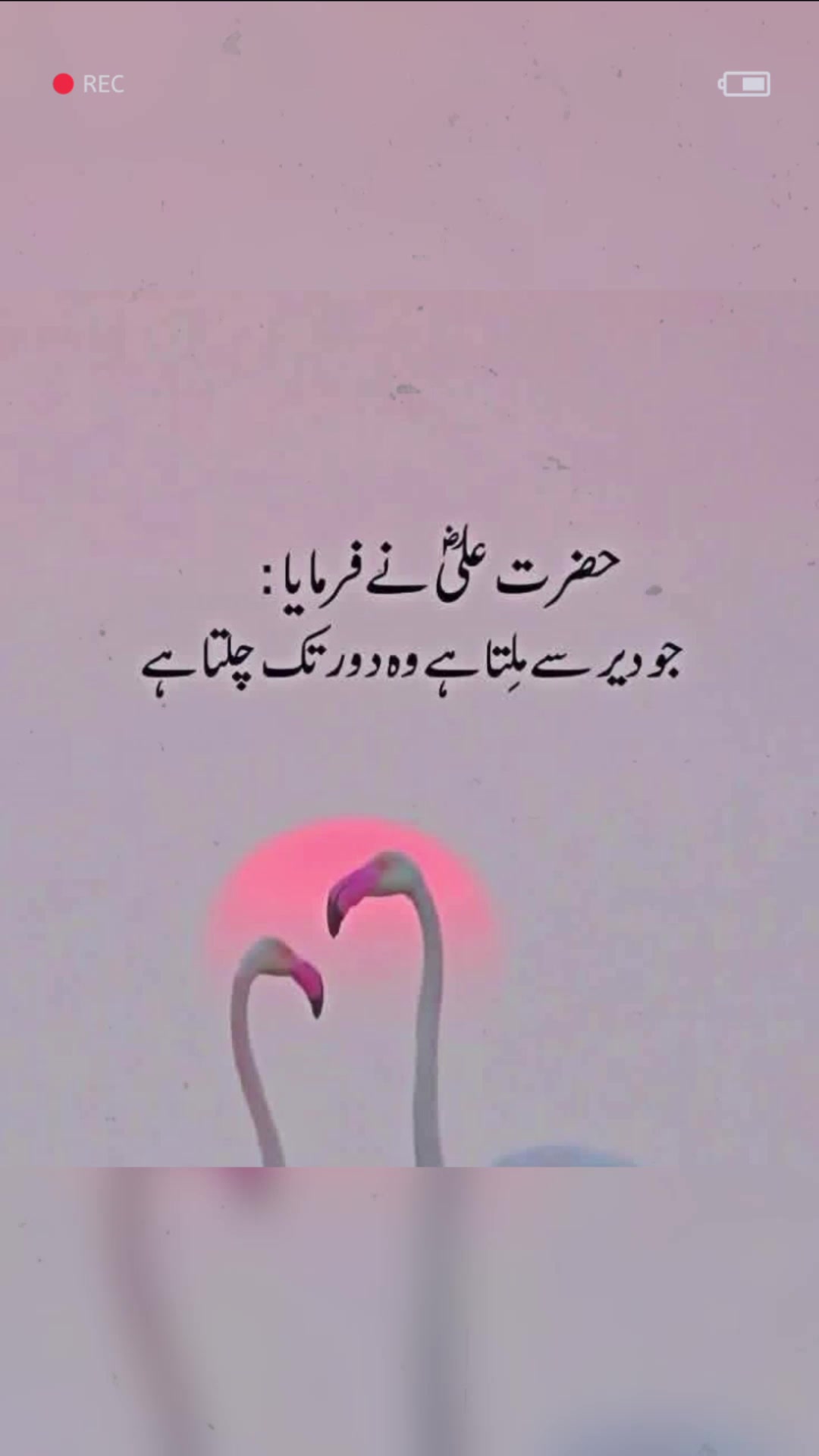 @❦︎❥︎mehar✰༆ ᶻᵘᵇᵃⁱʳ ༎ຶ✰