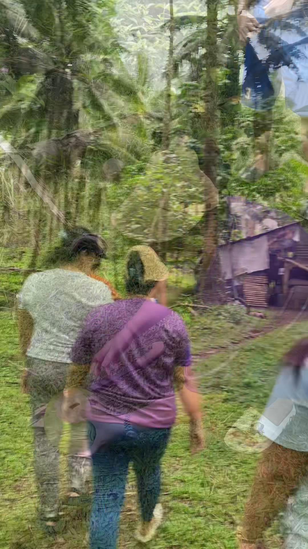 @Marj Pig Farm Vlogs