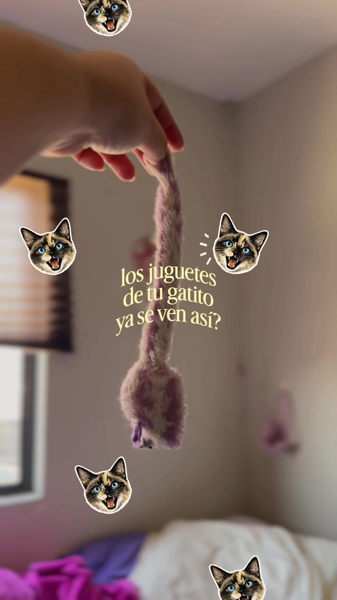 @Guimary 💫