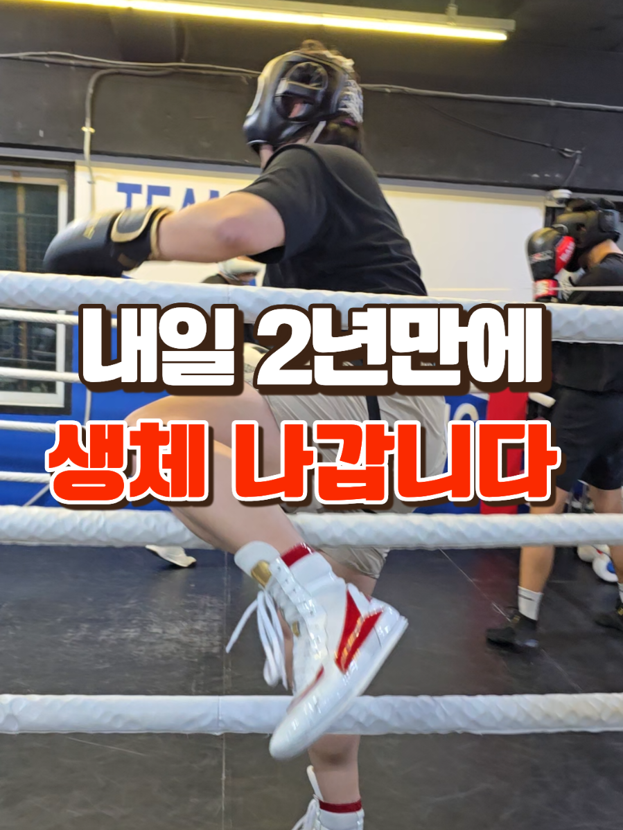 @LLBX 롱롱복싱
