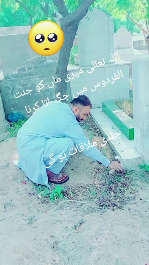 @Rana Hamid