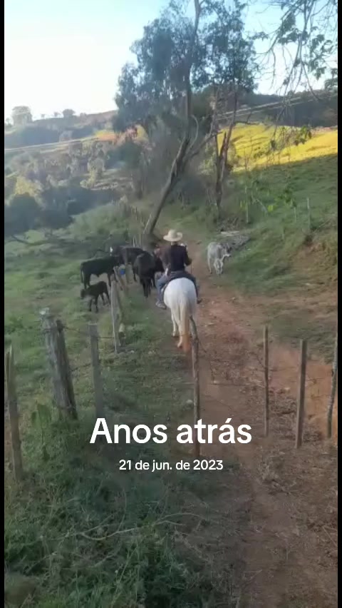 @Daniela Alexandrino