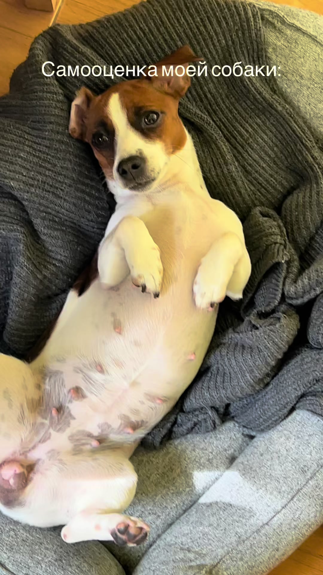 @Ольга психолог и Элли 🐶
