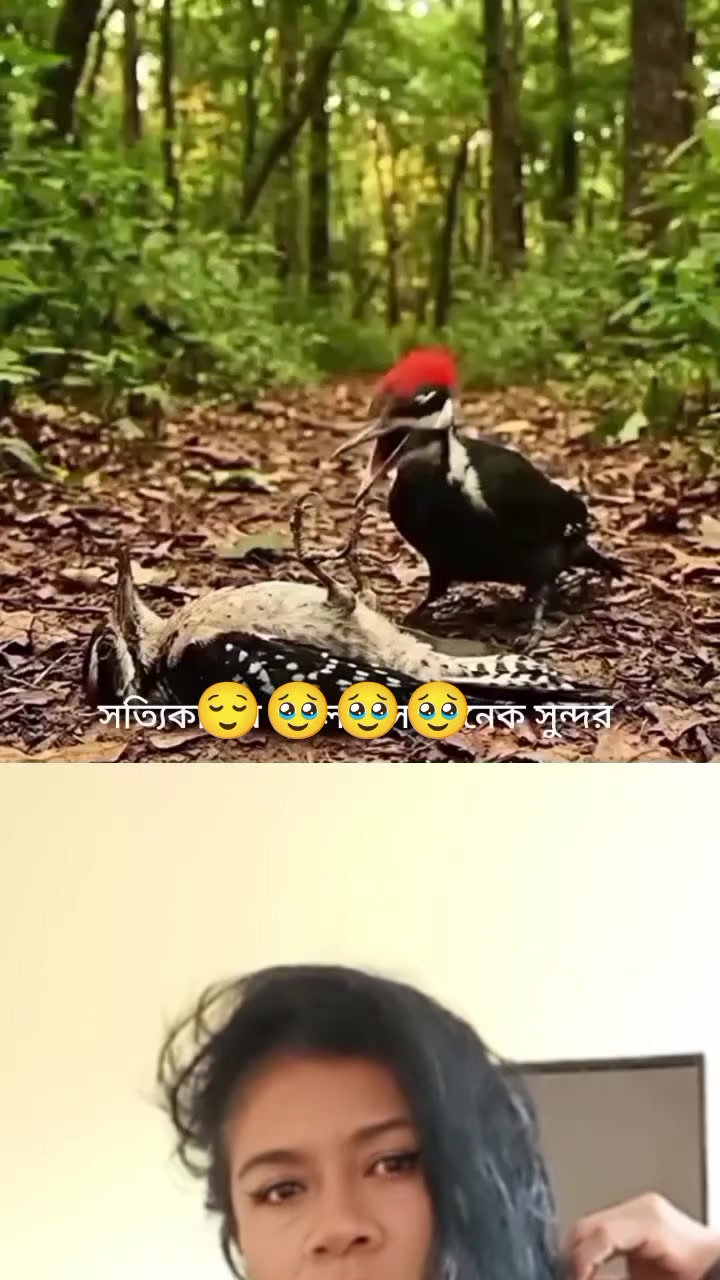 @Mari2404