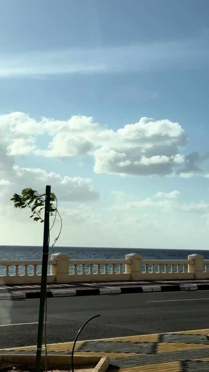 @Ali Rashid