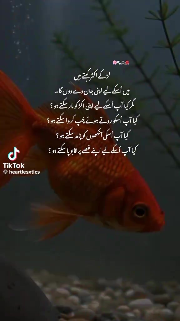 @Malik Farah naheed