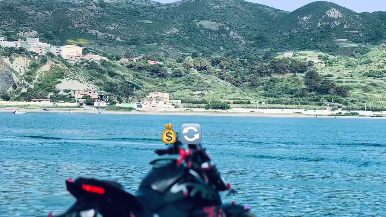 @🇧🇷☠️