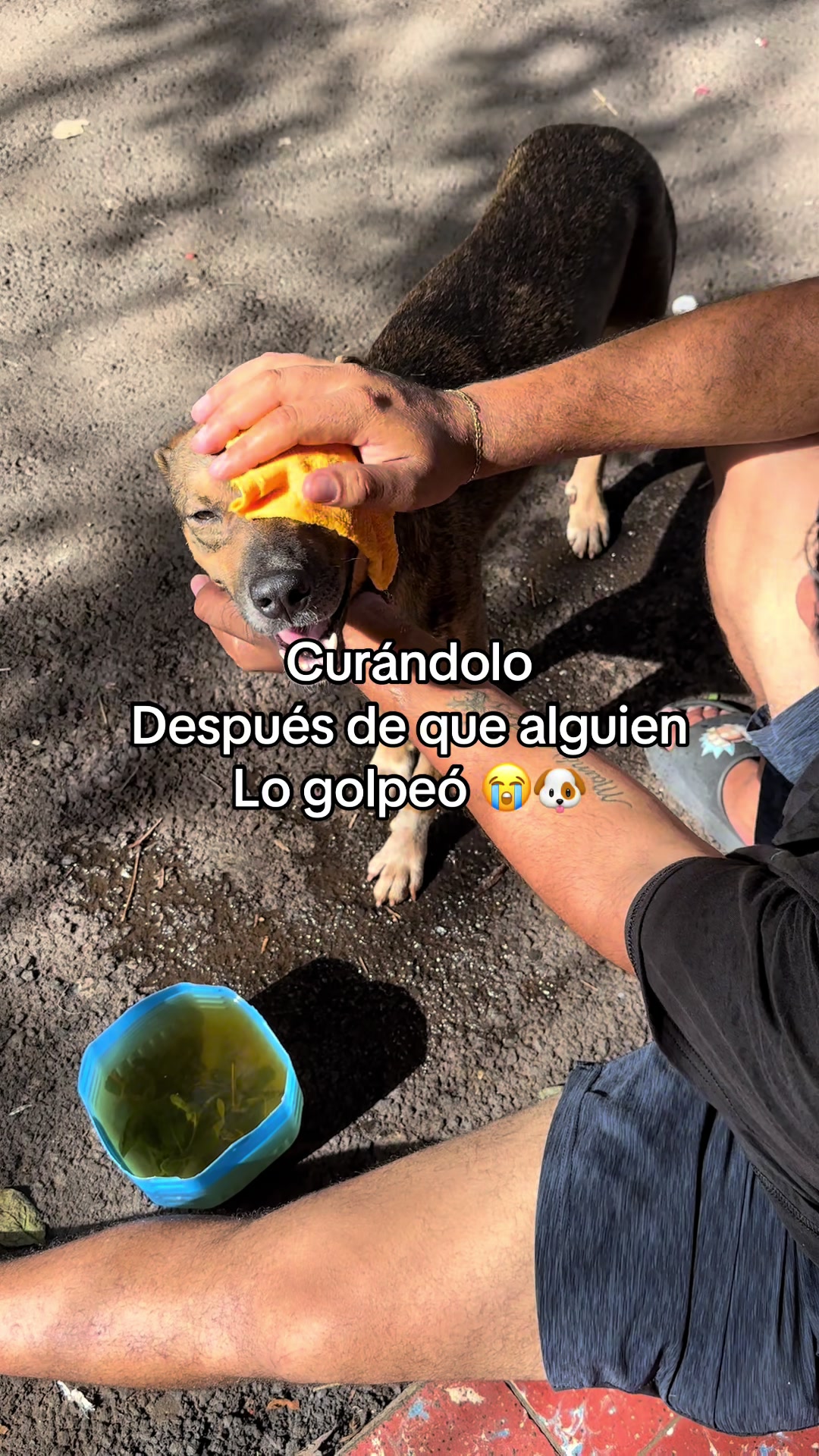 @Richard Mlndz👽