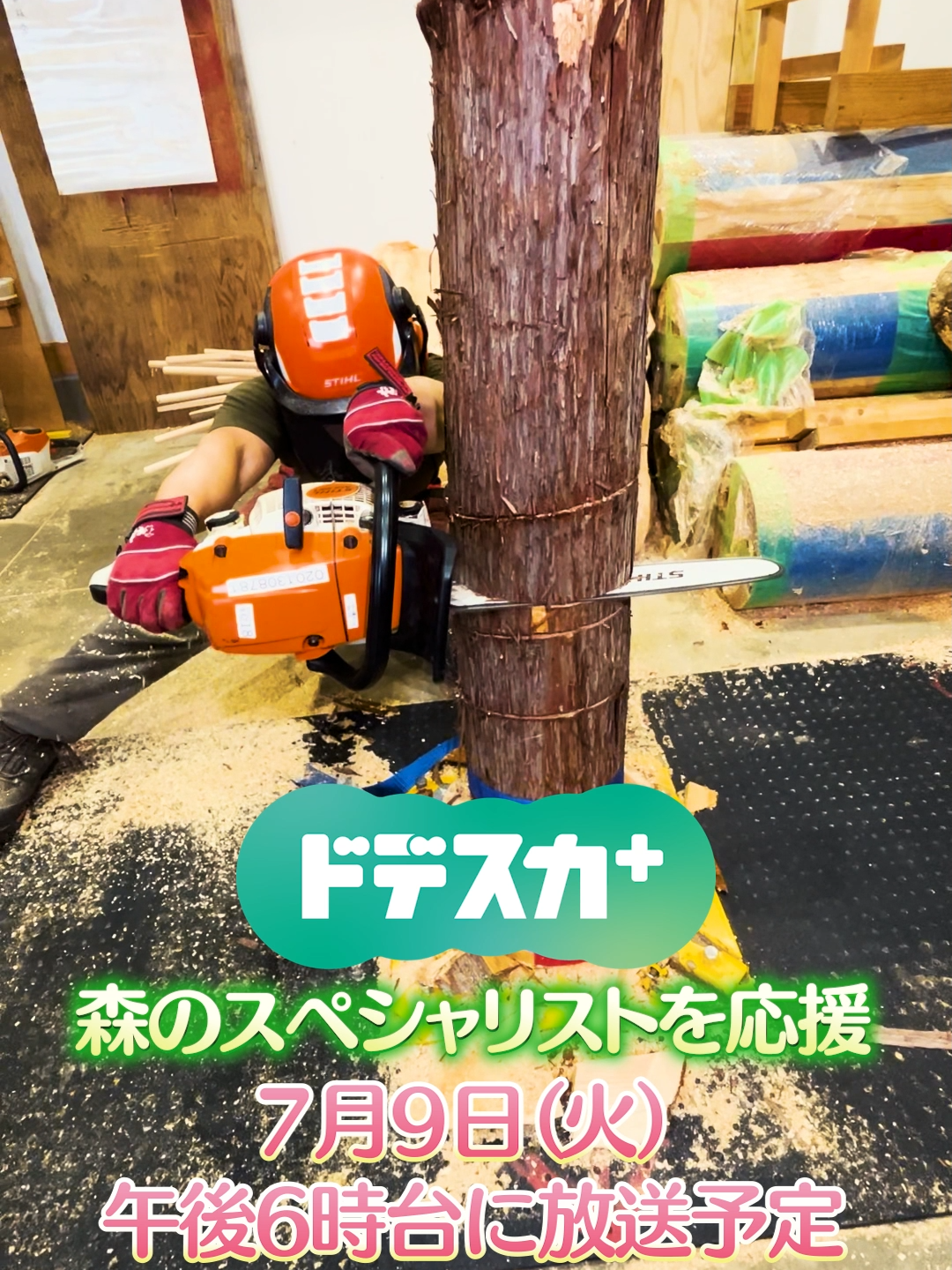 @メ〜テレニュース（メーテレ/名古屋テレビ）
