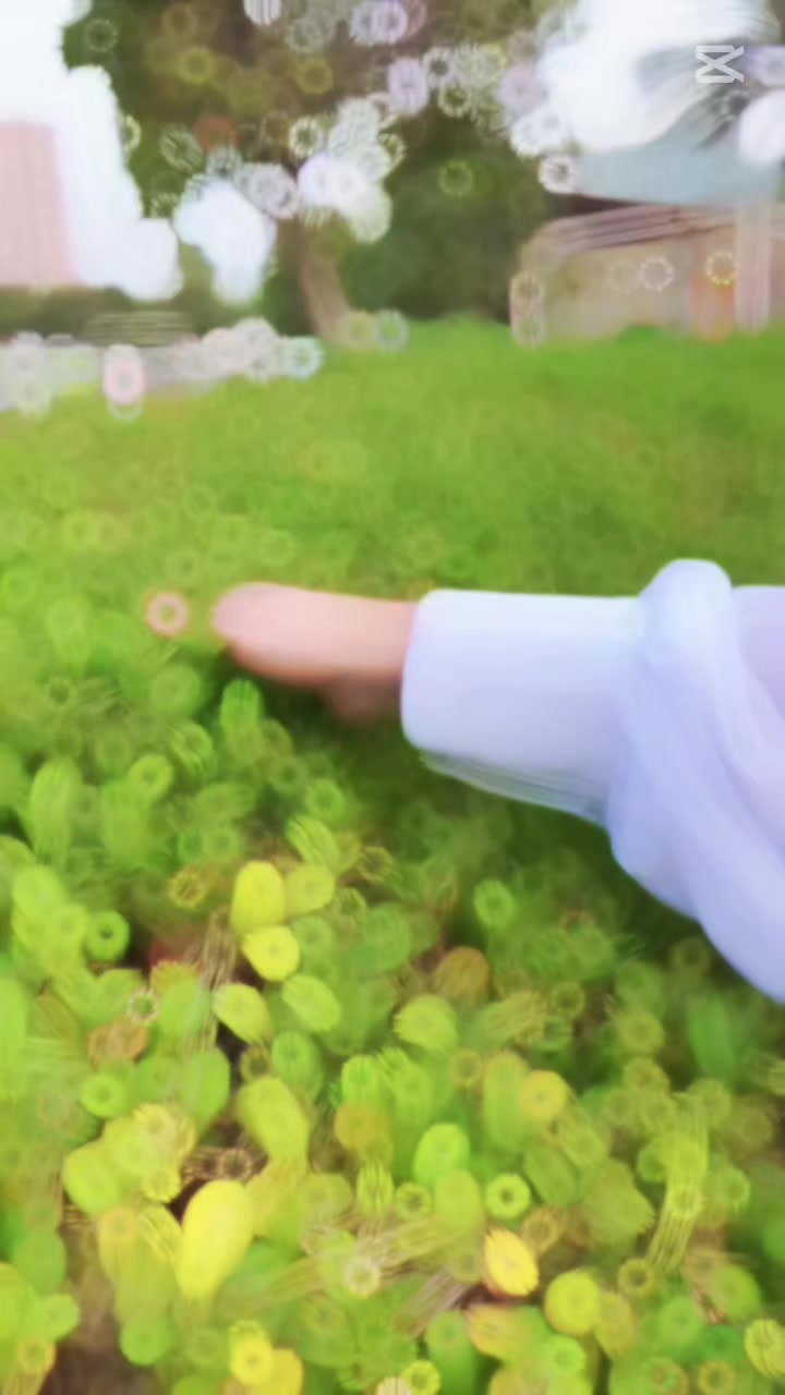 @𓆩❤️𓆪 𝗔𝗗𝗩𝗜𝗦𝗢𝗥 𓆩❤️𓆪