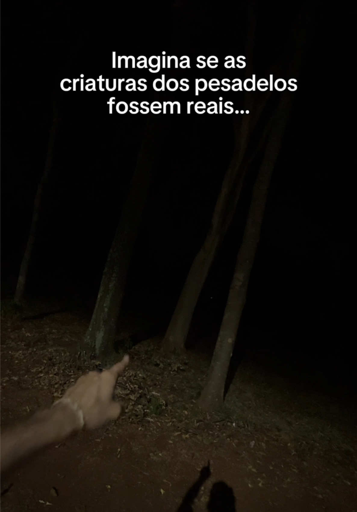 @Felipe Cardoso