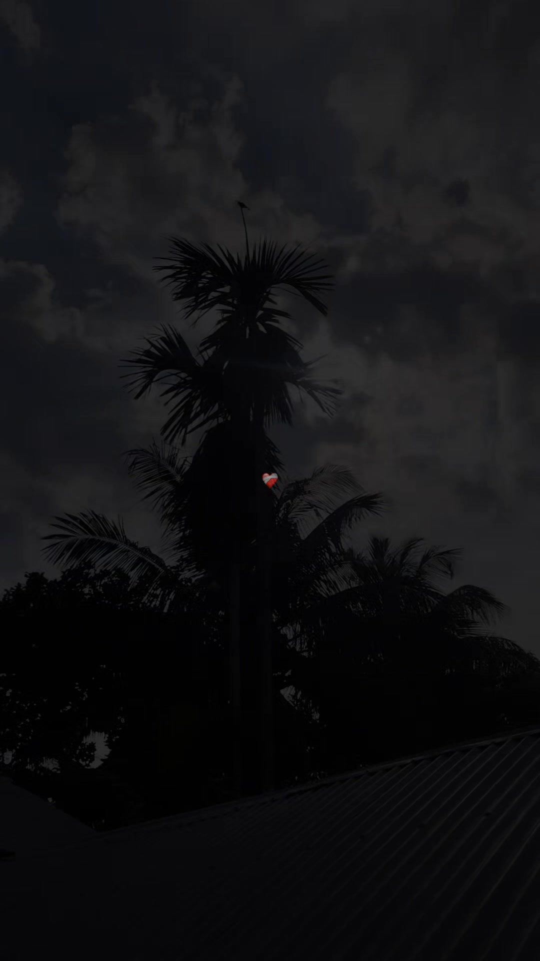 @समिReyy!! ❤&zwj;🩹