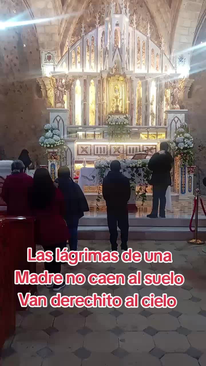 @Mijo oso 🐻🐻