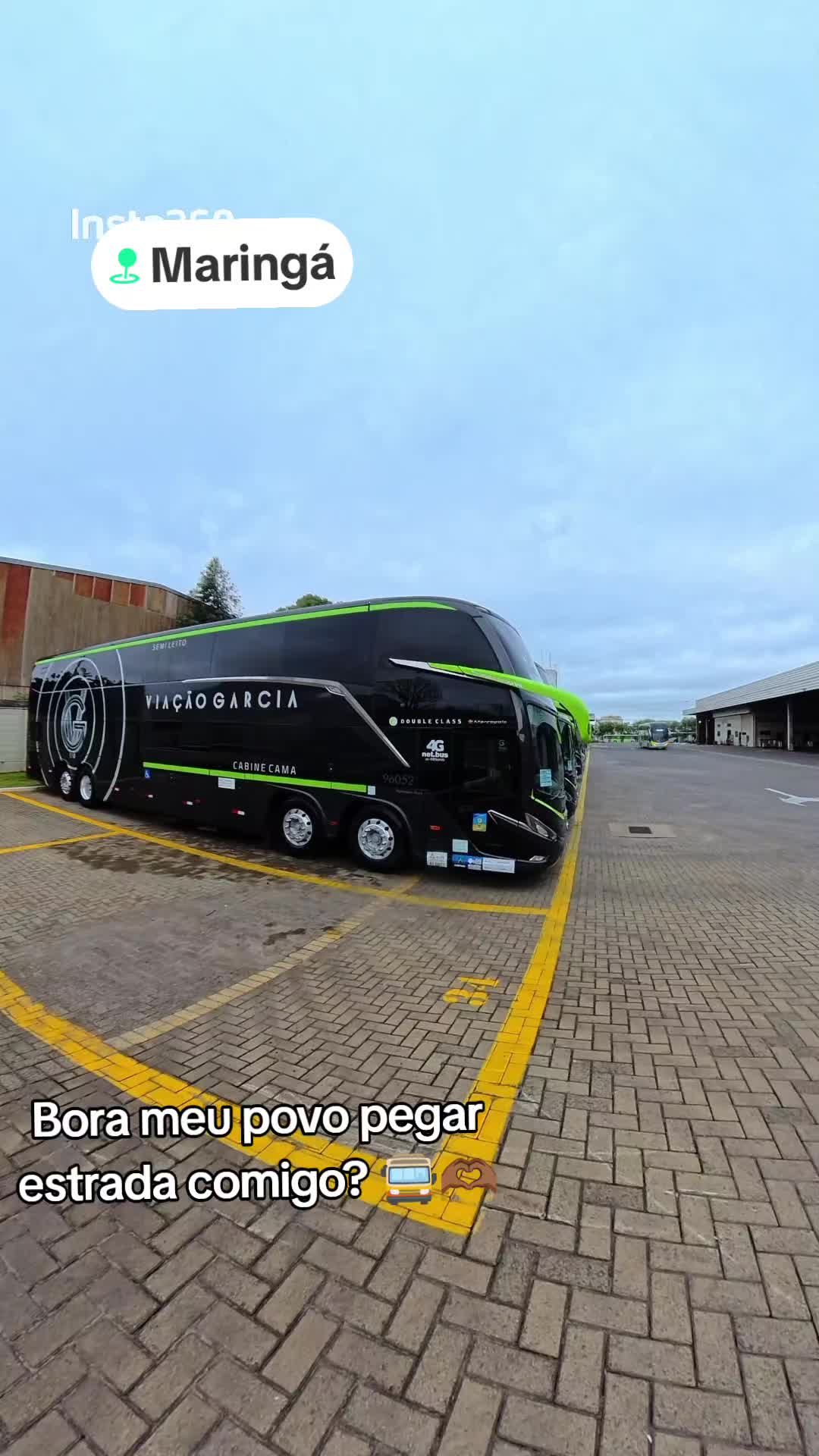@rosangela