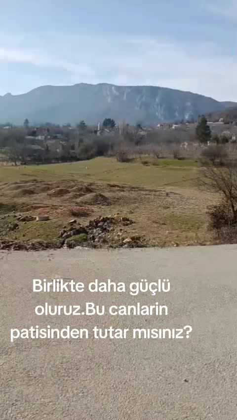 @Hayalperest_perii