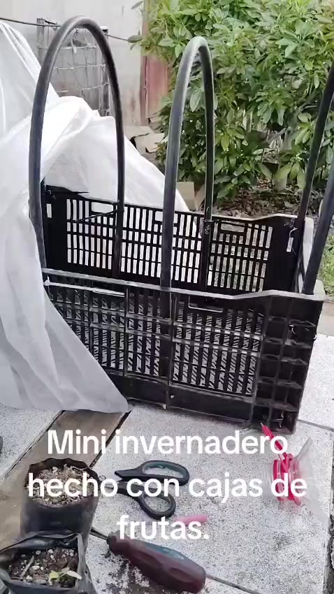 @patriciareyes2741