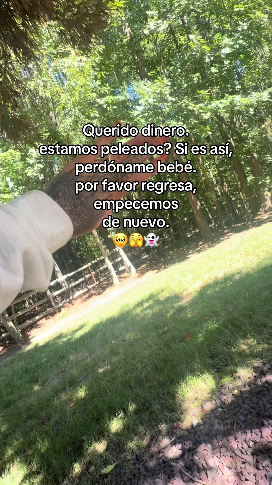 @LA RODRIGUEZ 🩶