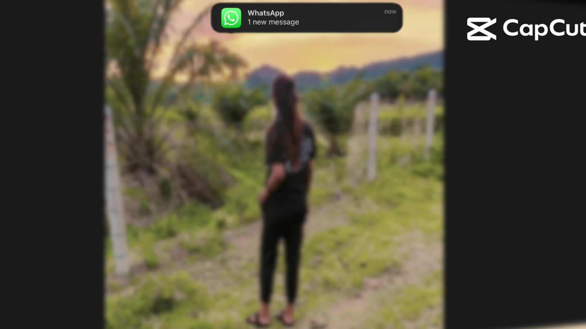 @alonely_lover