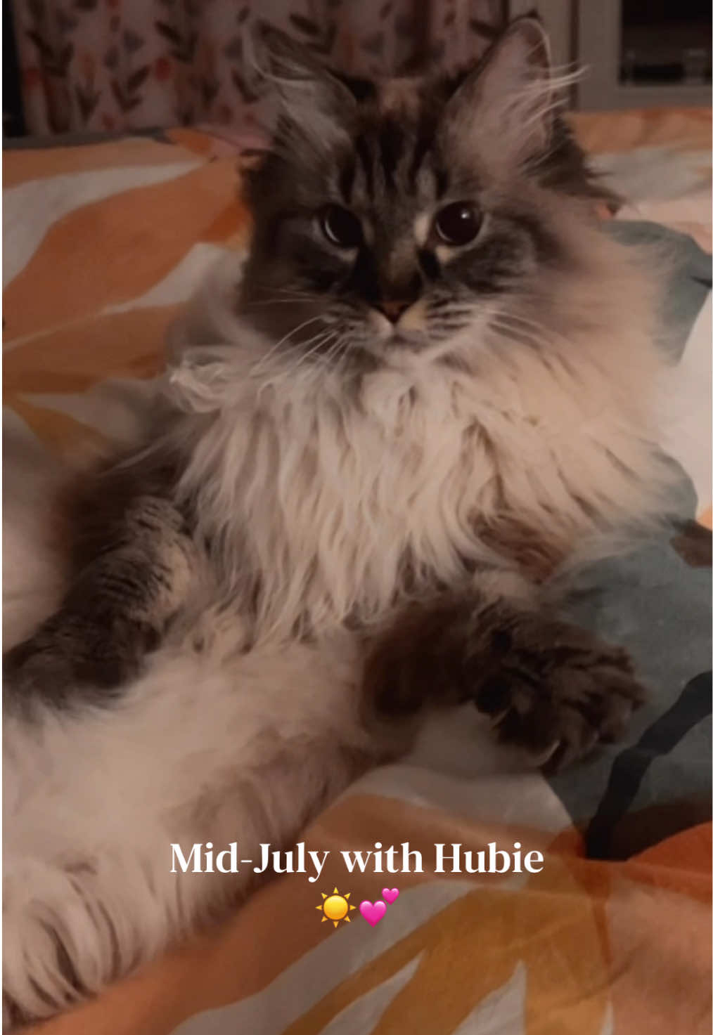 @My Cat Is People 🇨🇦