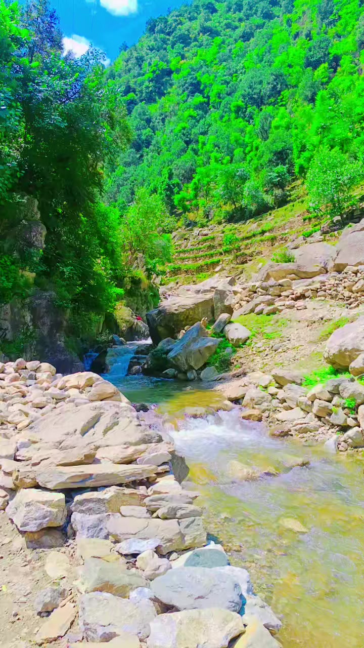 @sajid6699