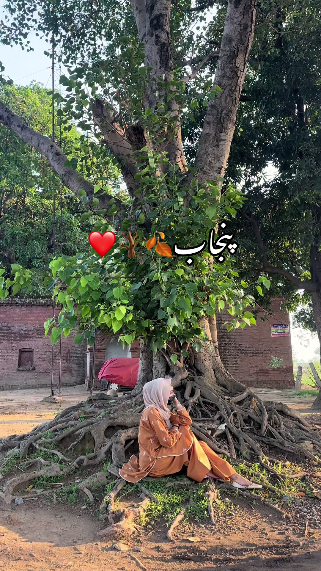 @Noor__blog8