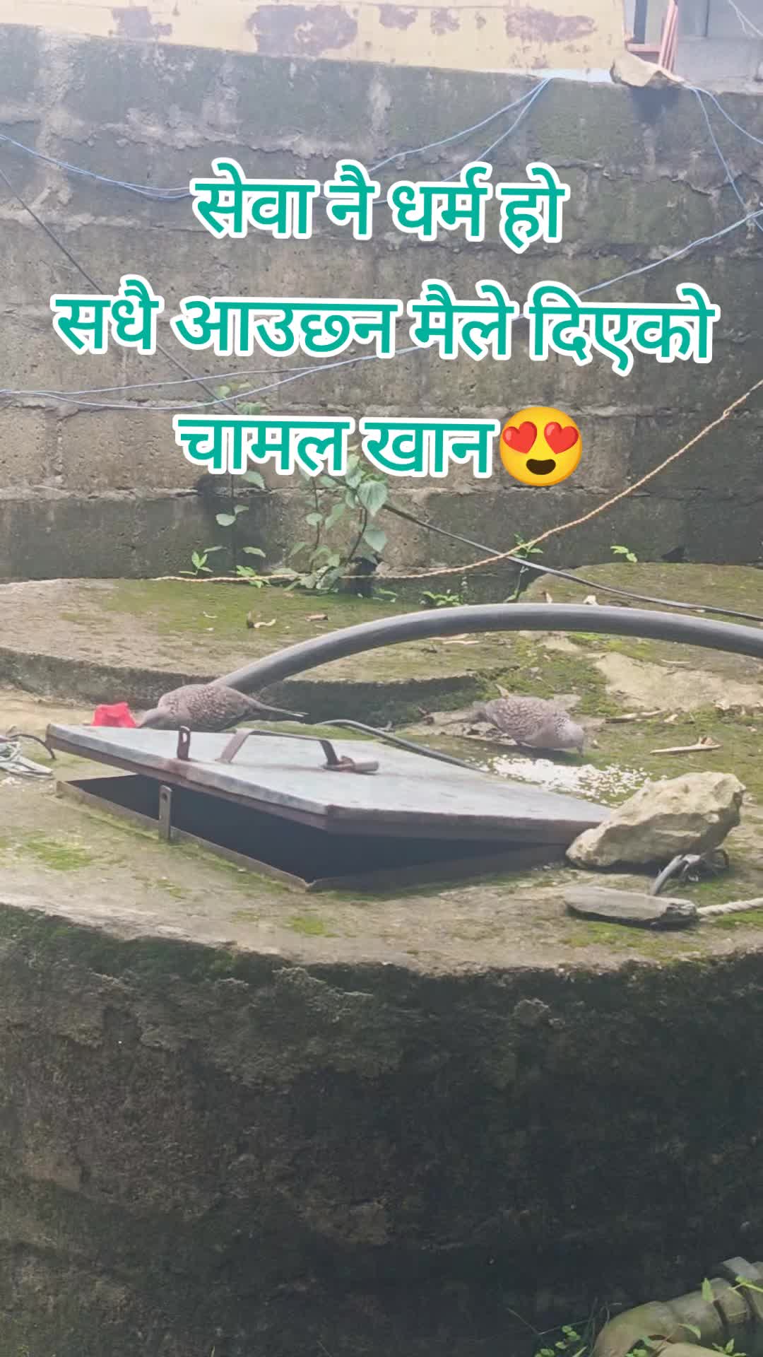 @bhimbibas_aashu_official1