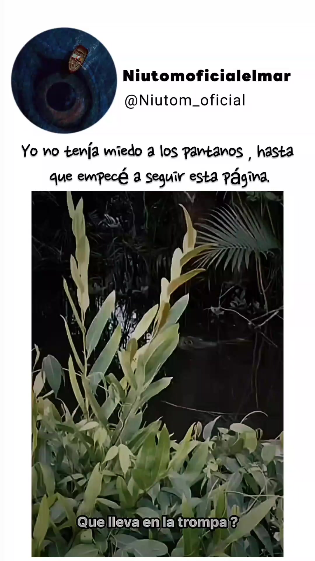 @🌊️niutom oficial el mar 🌊