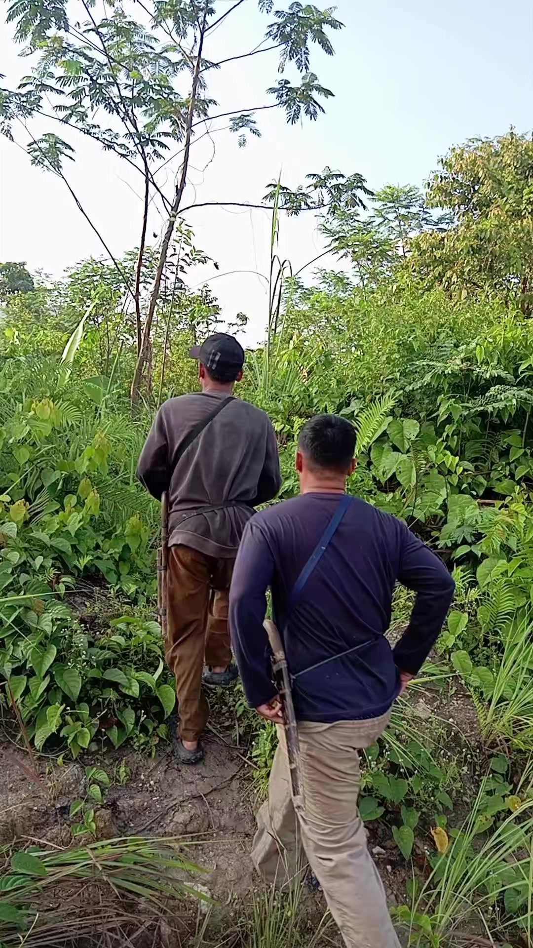 @Srindit kaltara 🦜
