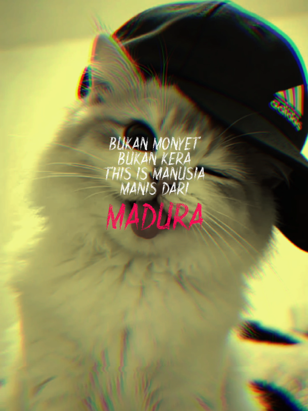 @Madura Riah
