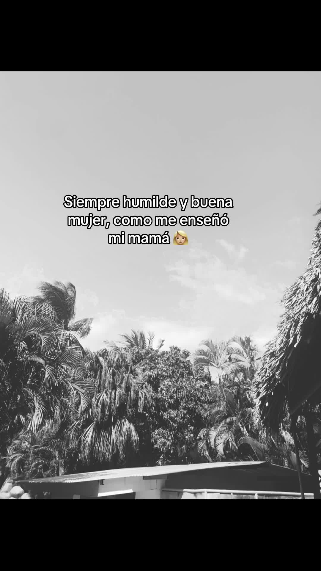 @🥀vane🪫