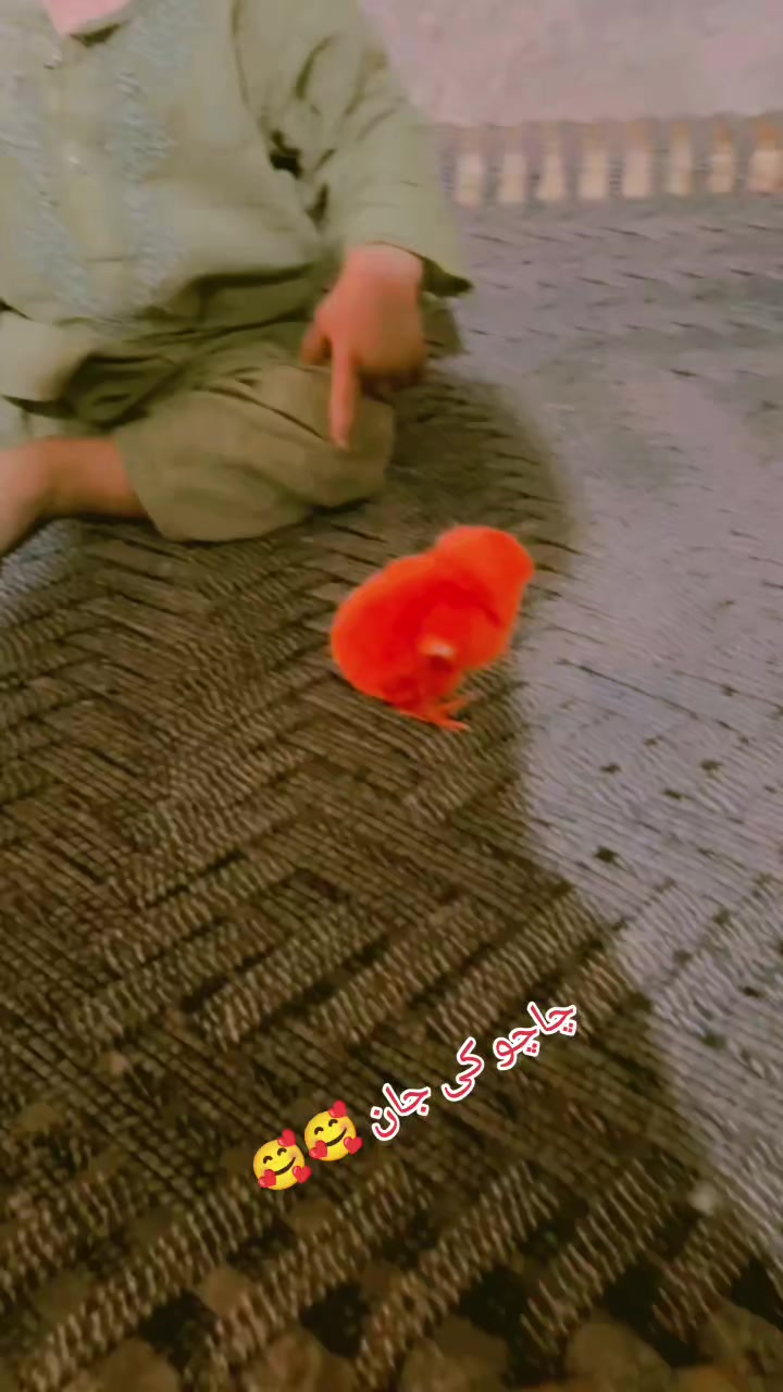 @CH.Sabir