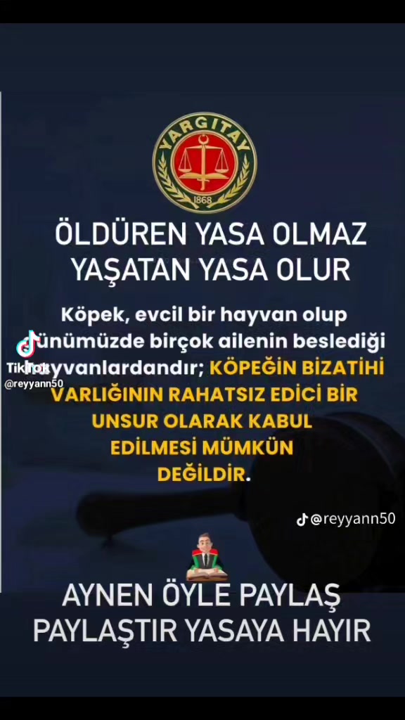 @yavuz&ouml;zer