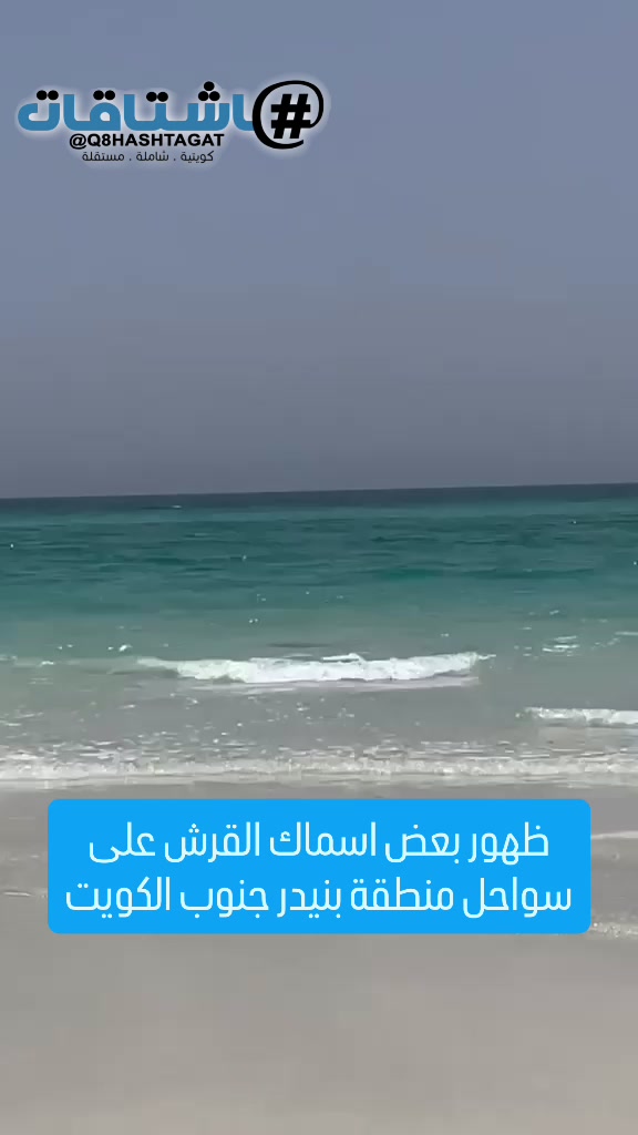 @Q8hashtagat هاشتاقات الكويت